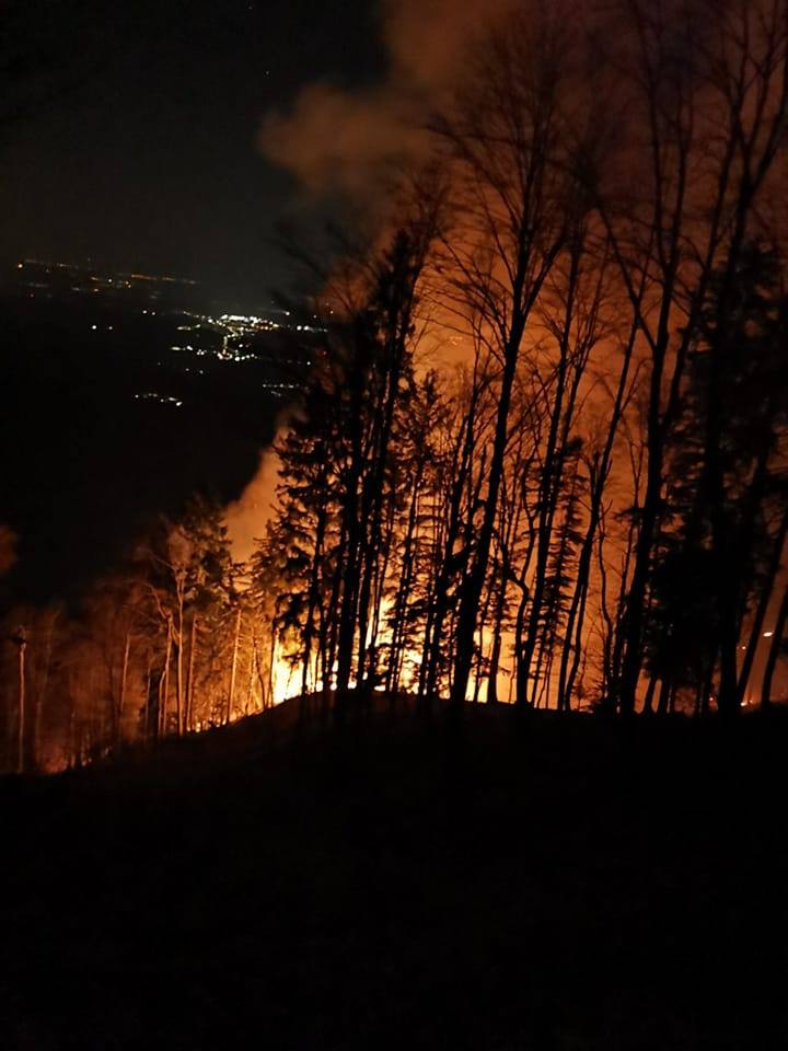 Požar gozda nad Potočami