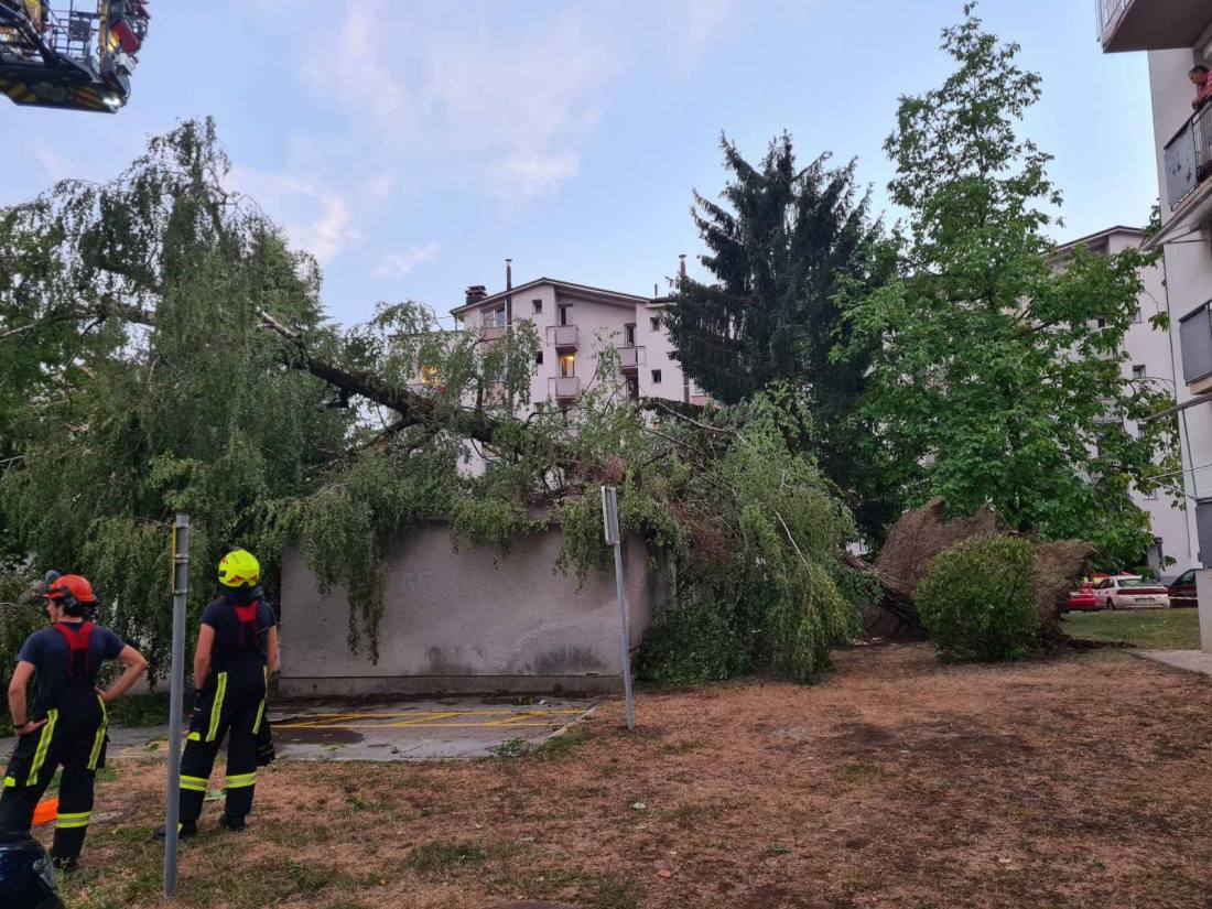 Neurje odkrilo več streh in polomilo drevesa (8/9)